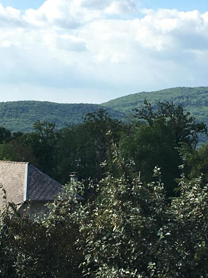 Appartement T2 indépendant dans maison Pugny-Chatenod Esterno foto